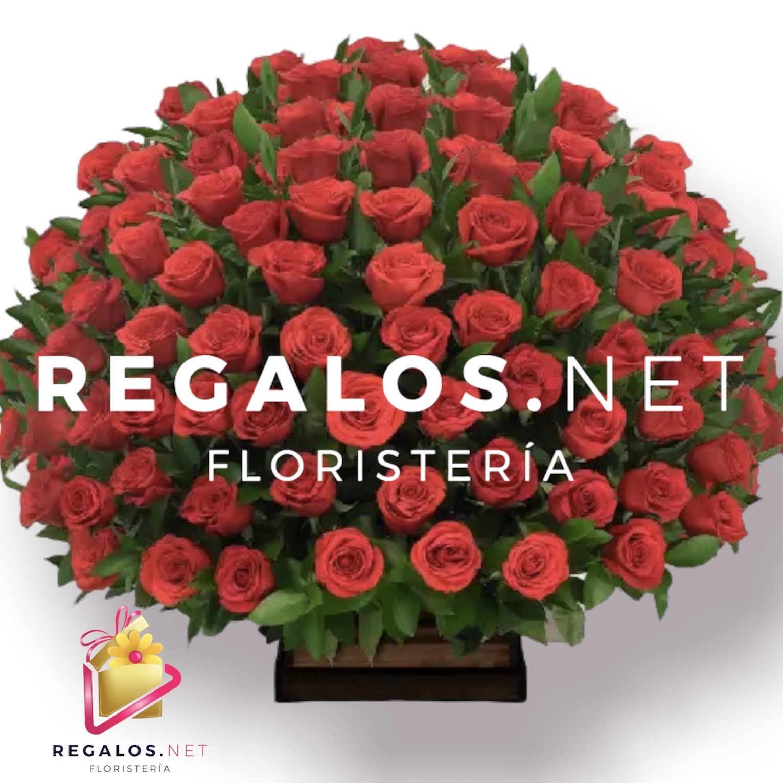 Rd-7 Espectacular Ramo de Rosas Rojas - Floristeria y Regalos en Manizales